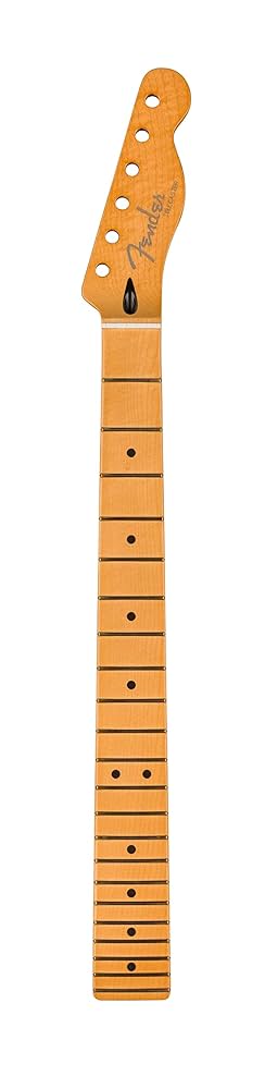Amazon | Fender Player Plus テレキャスターネック ミディアム